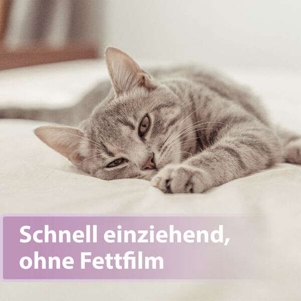 Felisept Pfotenpflege für Katzen